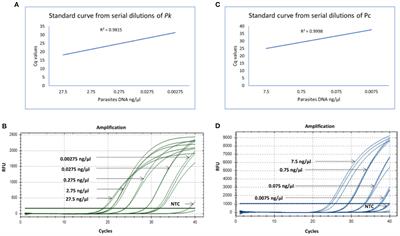 A novel multiplex qPCR assay for clinical diagnosis of non-human malaria parasites-Plasmodium knowlesi and Plasmodium cynomolgi